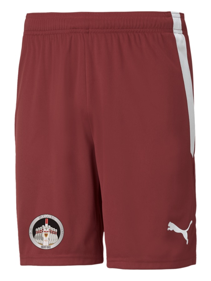 PUMA teamLIGA Shorts