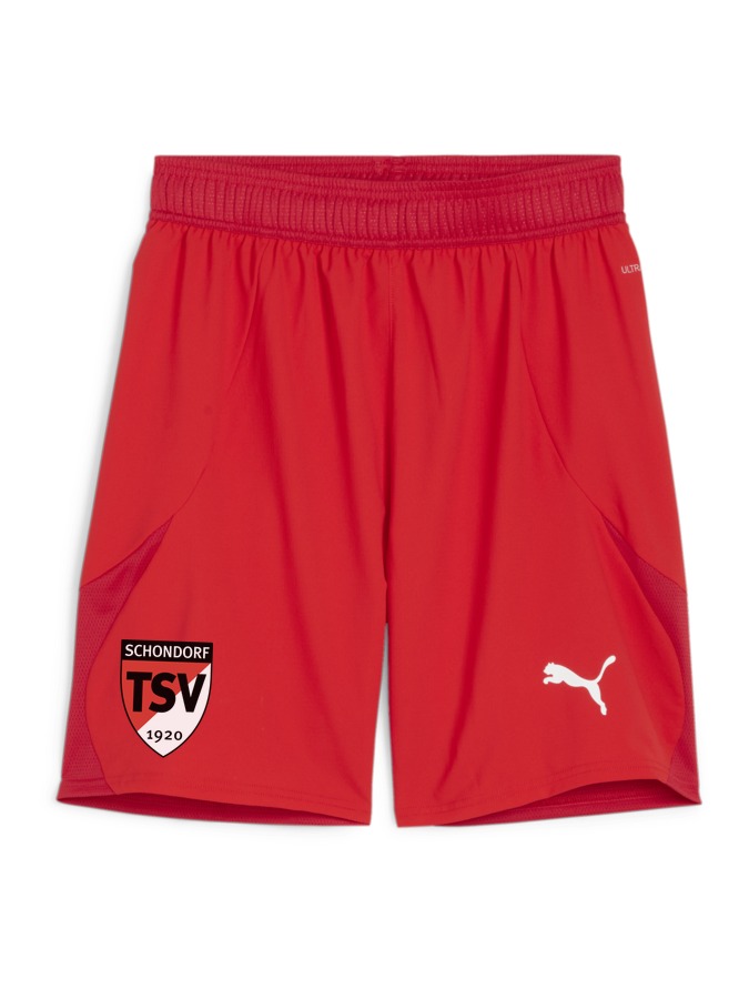 PUMA teamFINAL Shorts
