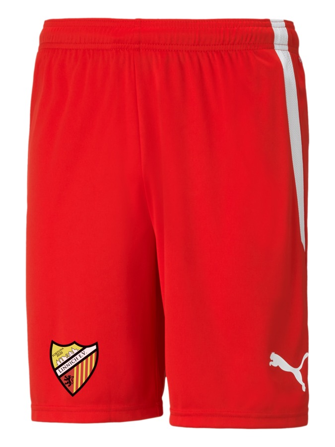 PUMA teamLIGA Shorts