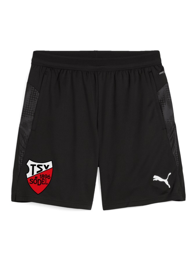 PUMA teamCUP Training Shorts