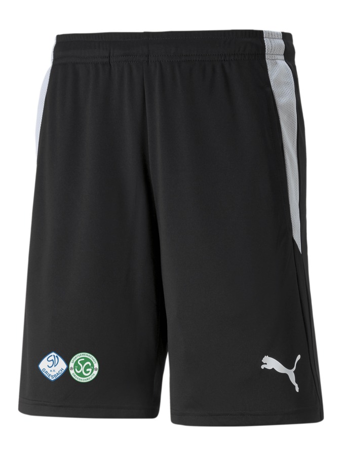 PUMA teamLIGA Referee Shorts