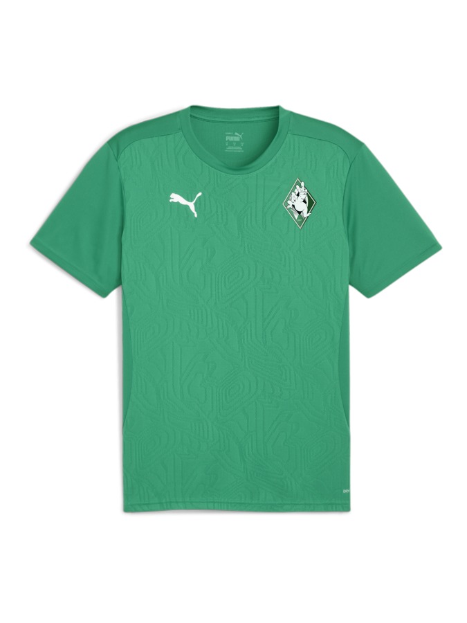 PUMA teamFINAL Trainingsshirt