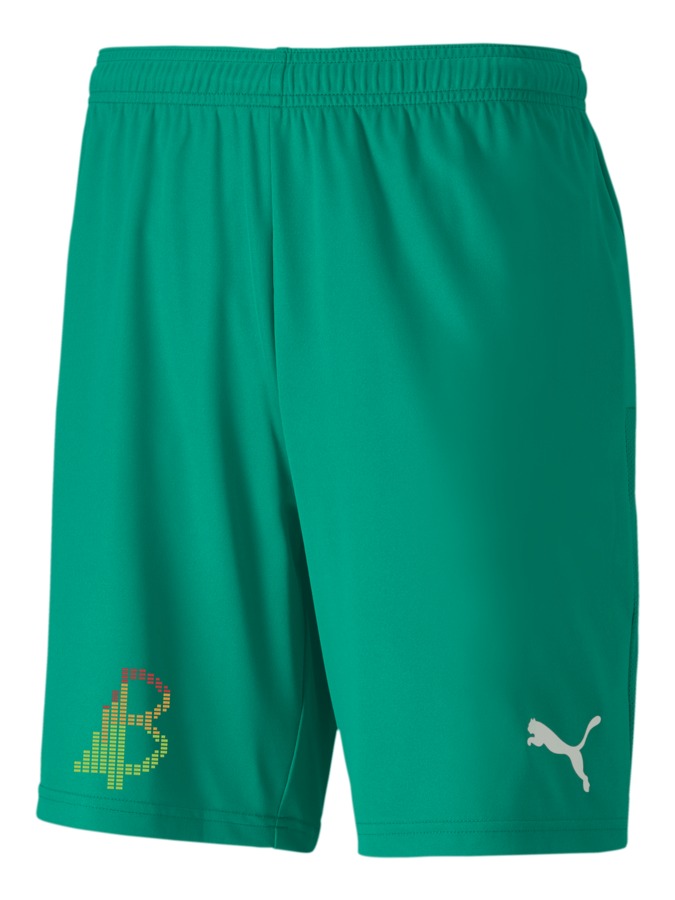 PUMA teamGOAL 23 Knit Shorts