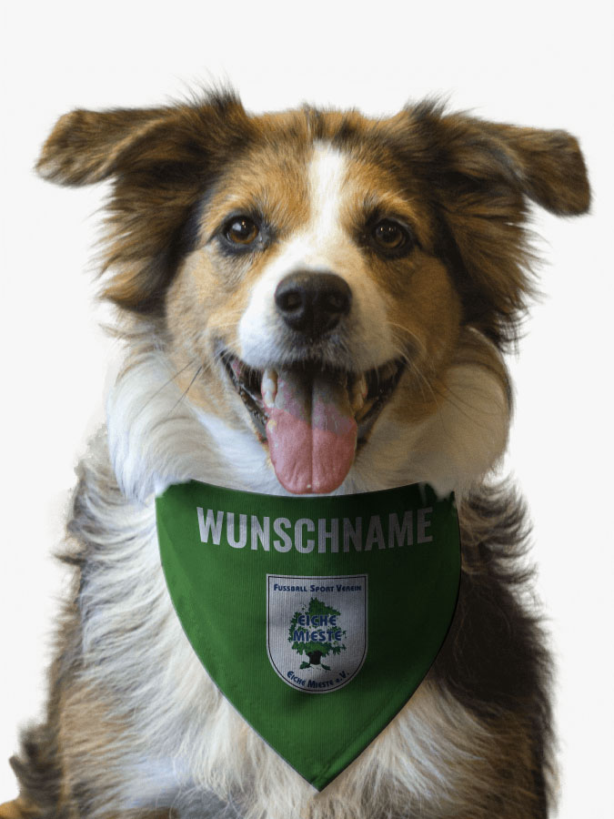 Hundehalstuch