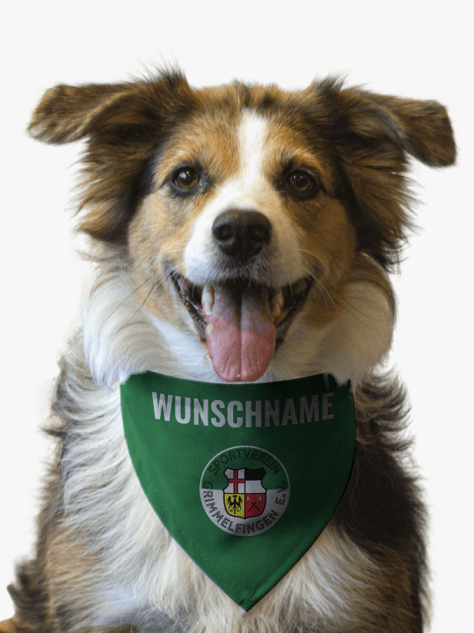 Hundehalstuch