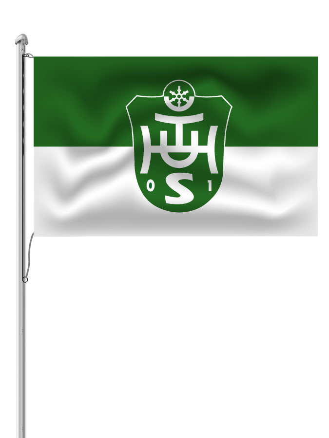 Hissfahne Logo