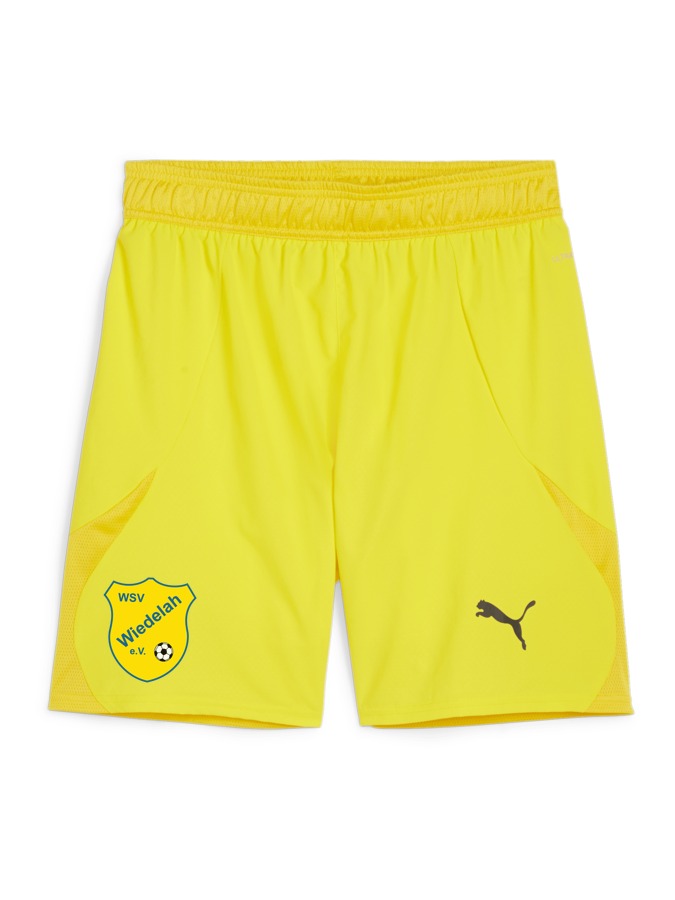 PUMA teamFINAL Shorts
