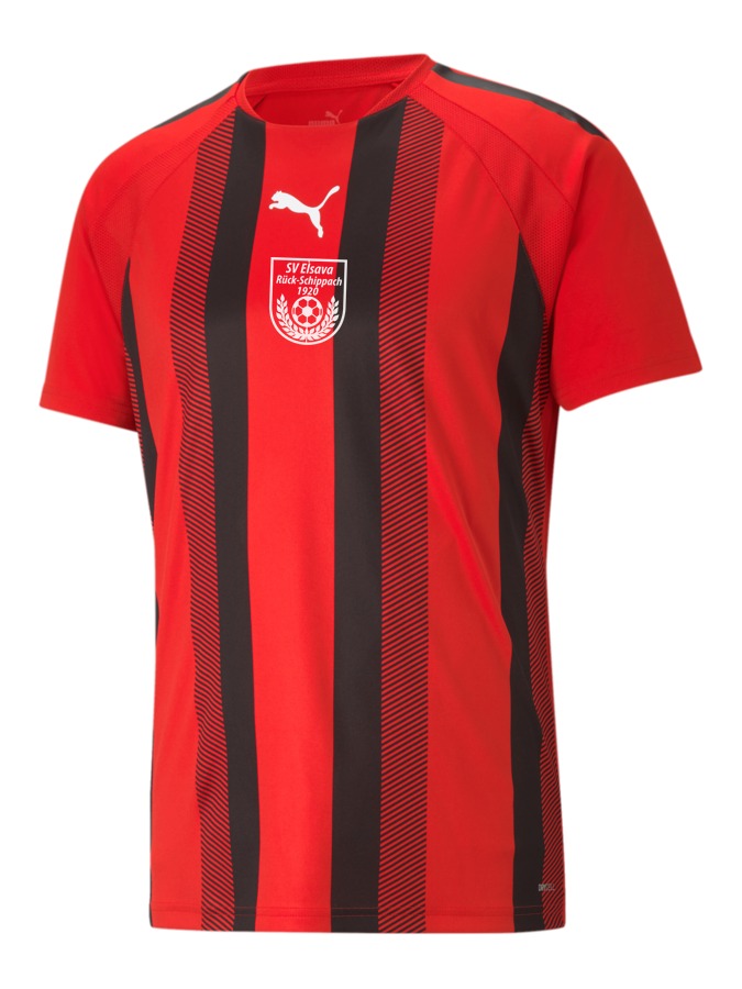 PUMA teamLIGA Striped Trikot