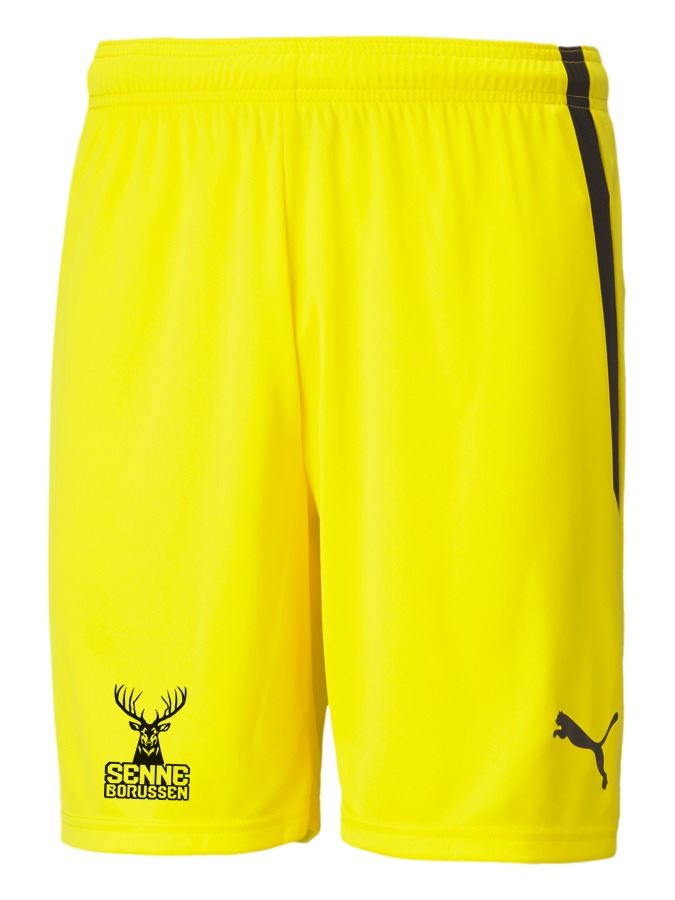 PUMA teamLIGA Shorts