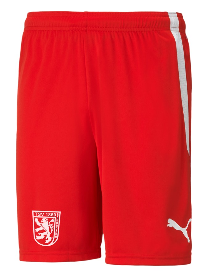 PUMA teamLIGA Shorts