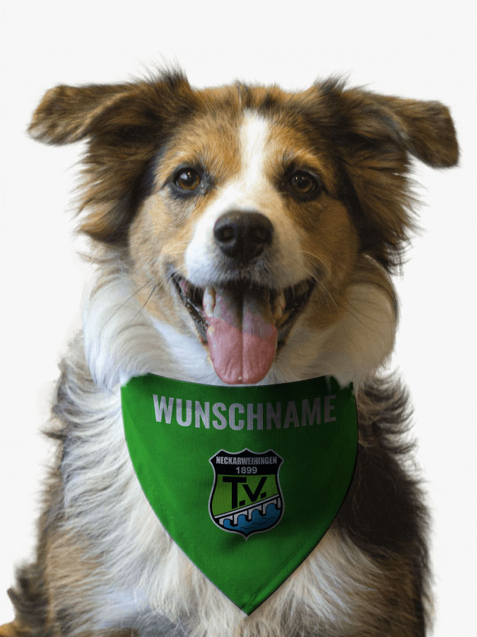 Hundehalstuch