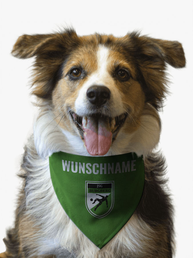 Hundehalstuch
