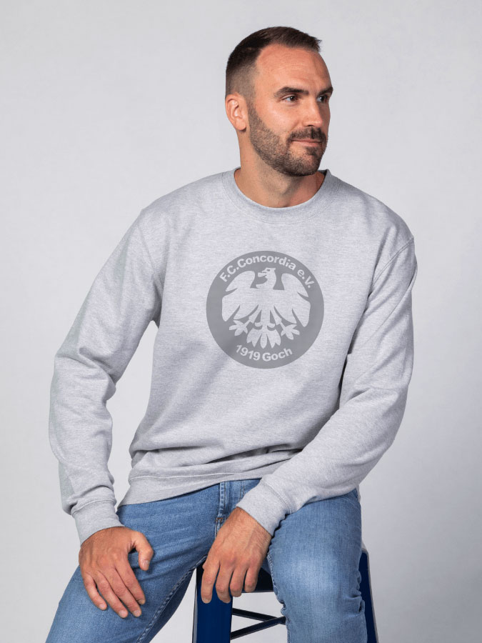 Sweater All Grey Herren