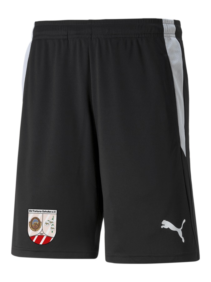 PUMA teamLIGA Referee Shorts