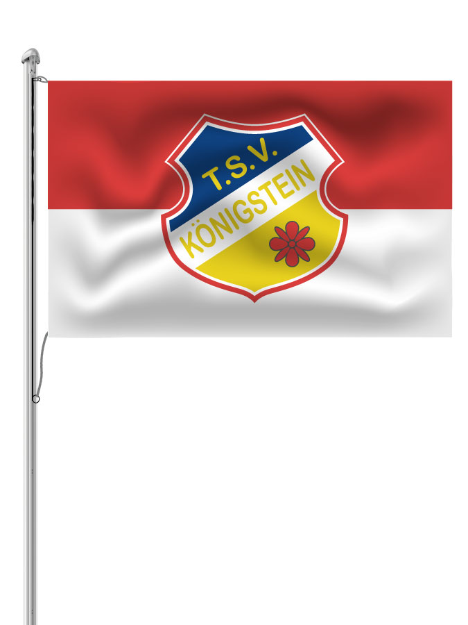 Hissfahne Logo