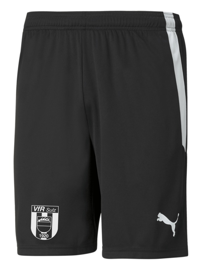 PUMA teamLIGA Shorts