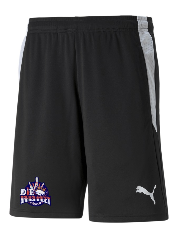PUMA teamLIGA Referee Shorts