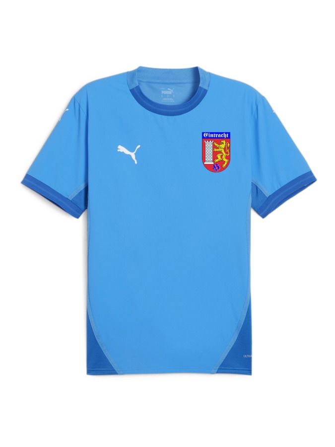 PUMA teamFINAL Trikot
