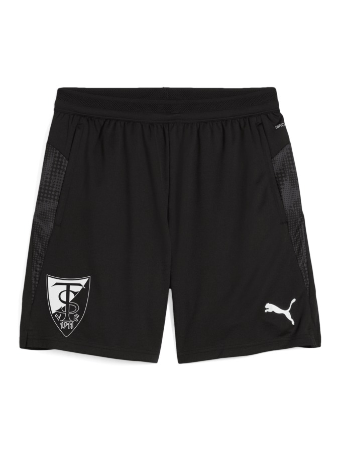 PUMA teamCUP Training Shorts