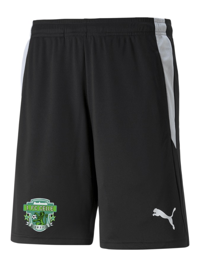 PUMA teamLIGA Referee Shorts