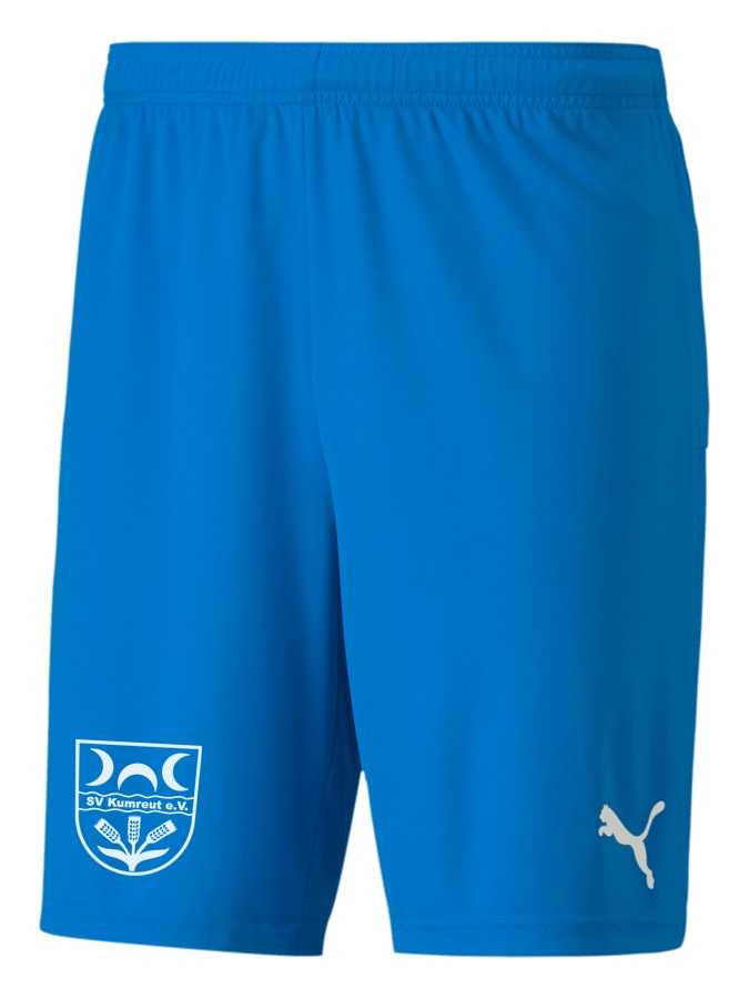 PUMA teamGOAL 23 Knit Shorts