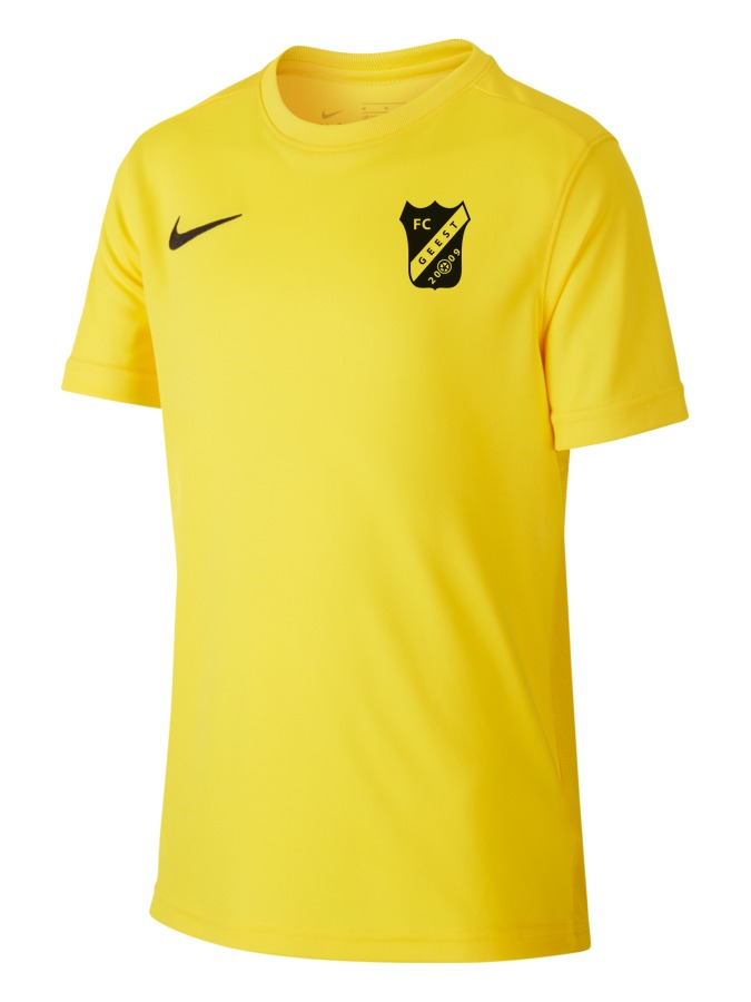 Nike Park 7 Trikot Kinder