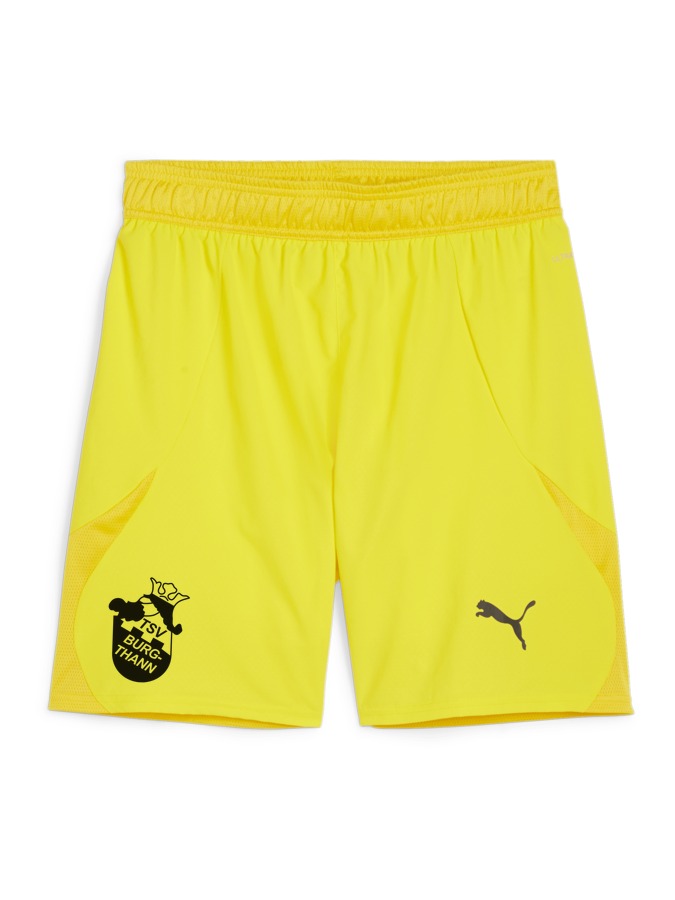 PUMA teamFINAL Shorts