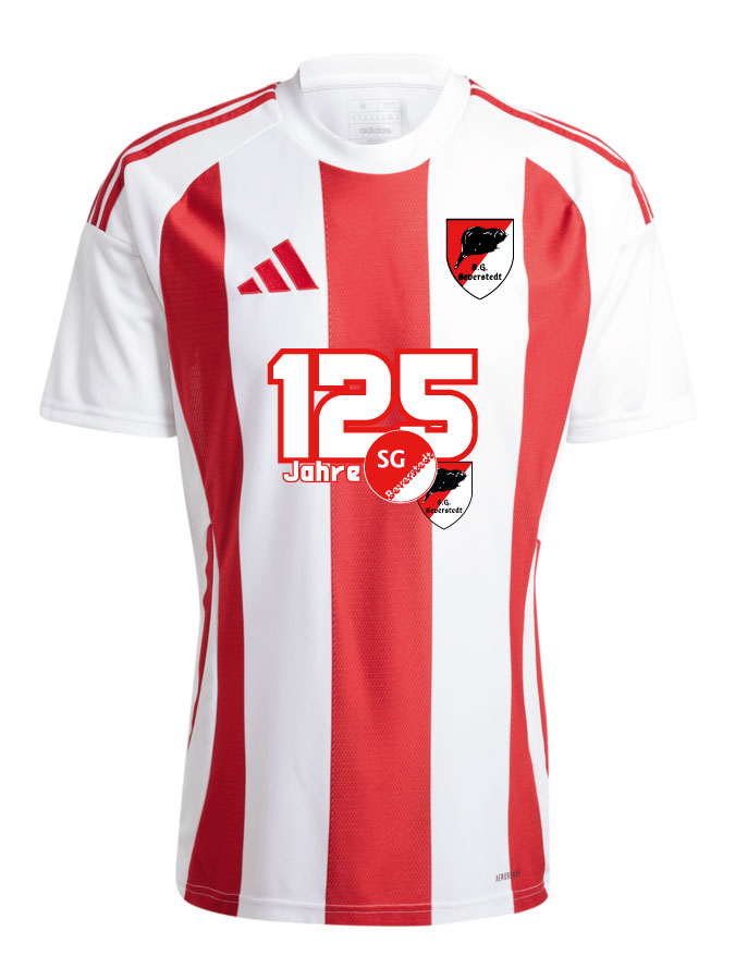 adidas Striped 24 Trikot