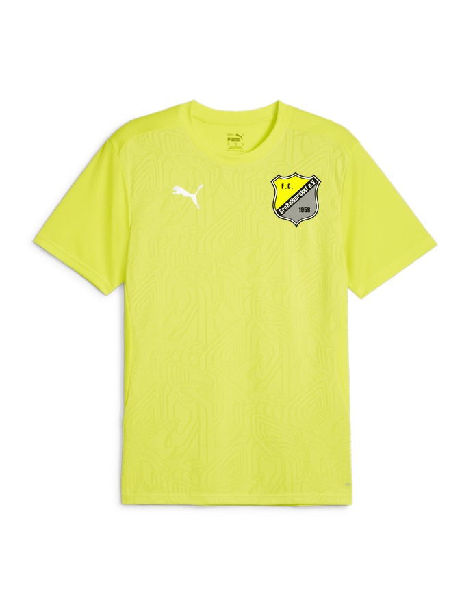 PUMA teamFINAL Trainingsshirt