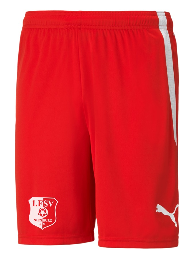 PUMA teamLIGA Shorts