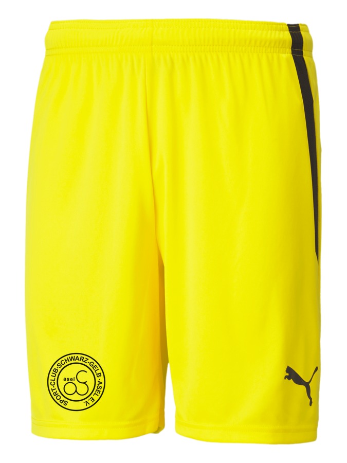 PUMA teamLIGA Shorts