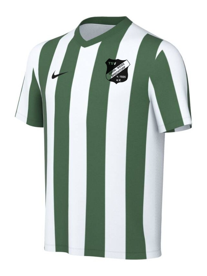 Nike Striped Division V Trikot Kinder