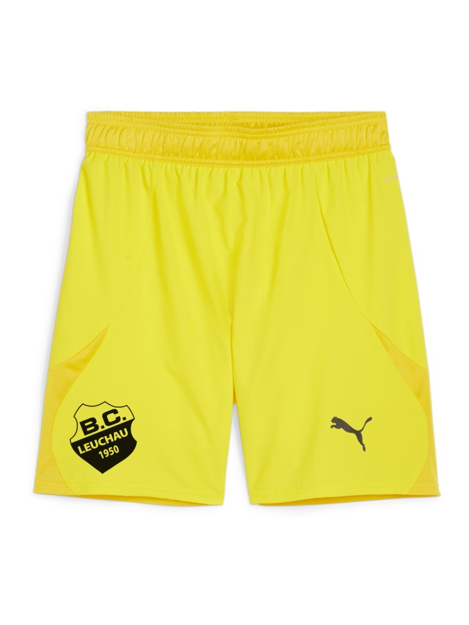 PUMA teamFINAL Shorts