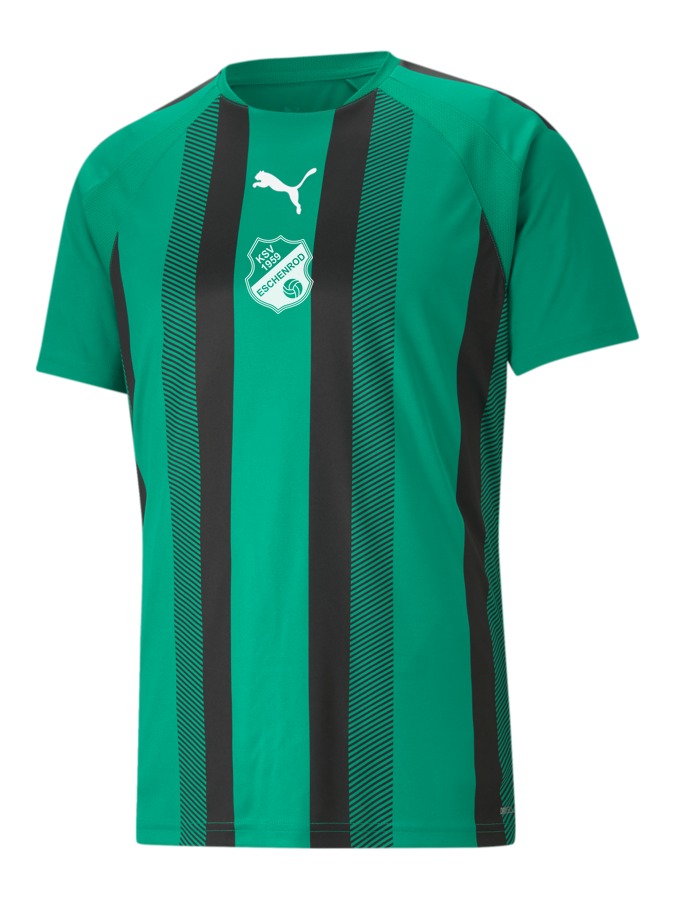 PUMA teamLIGA Striped Trikot