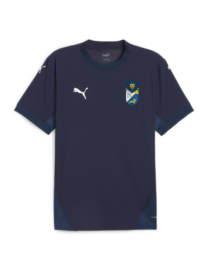 PUMA teamFINAL Trikot
