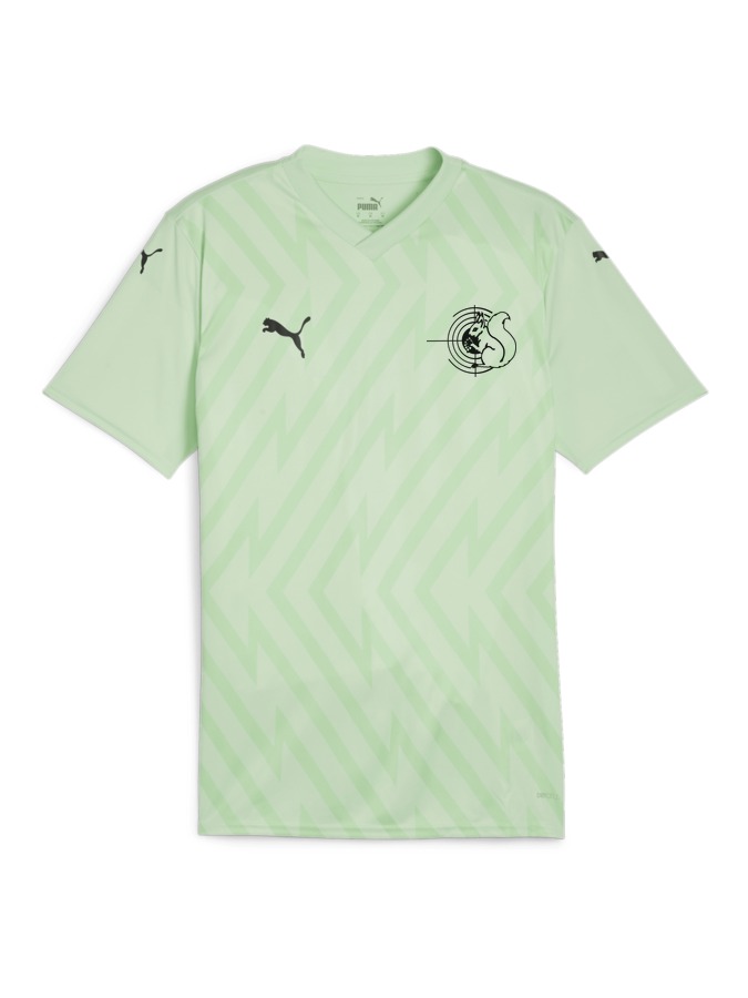 PUMA teamGLORY Trikot