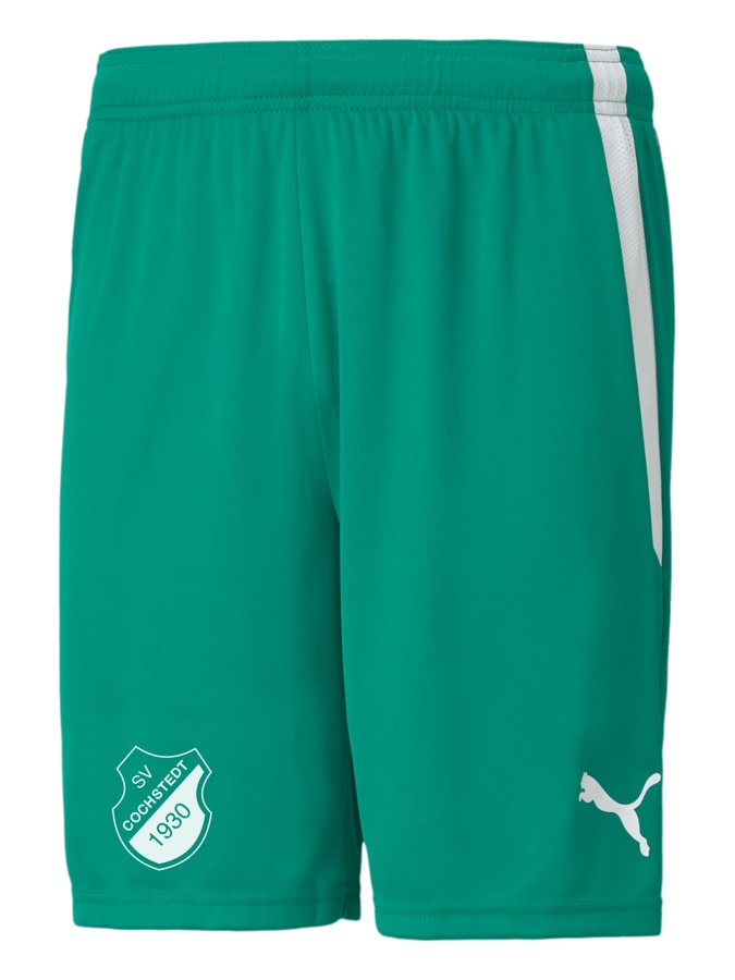 PUMA teamLIGA Shorts