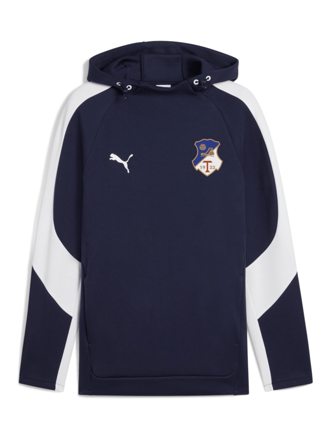 PUMA teamEVOSTRIPE Hoody