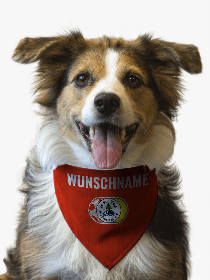 Hundehalstuch