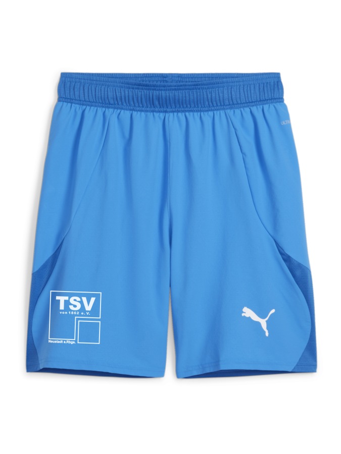 PUMA teamFINAL Shorts