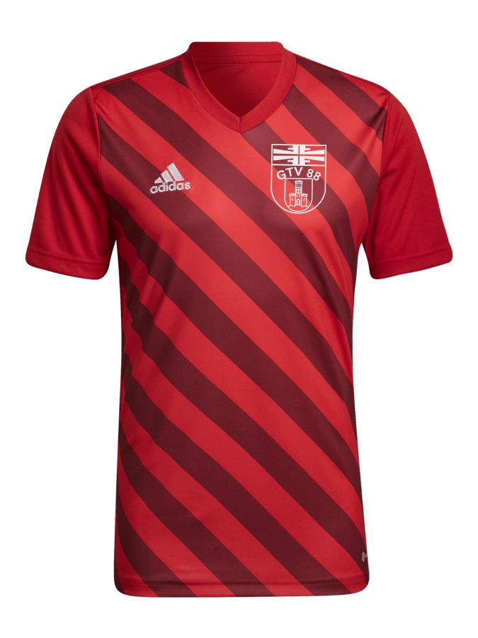 adidas Entrada 22 GFX Trikot
