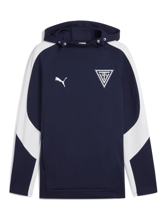 PUMA teamEVOSTRIPE Hoody