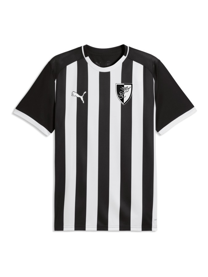 PUMA teamLIGA26 Striped Trikot