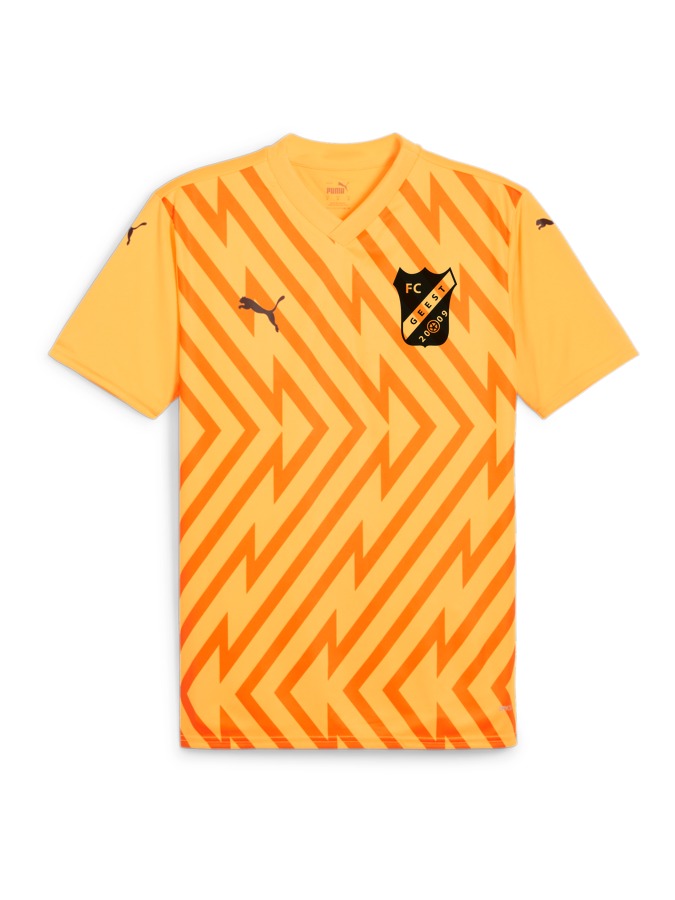 PUMA teamGLORY Trikot