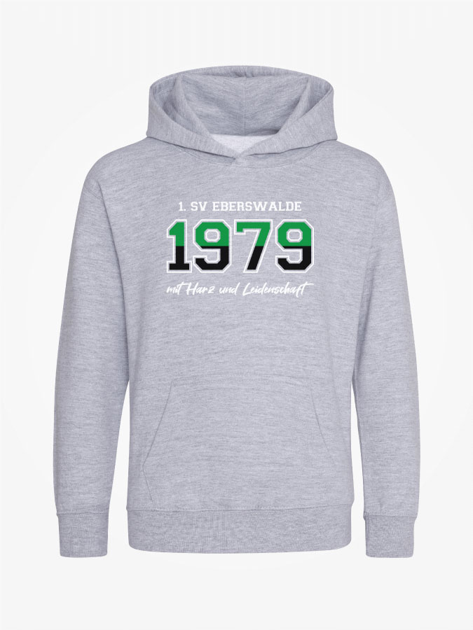 Hoodie Established Kids