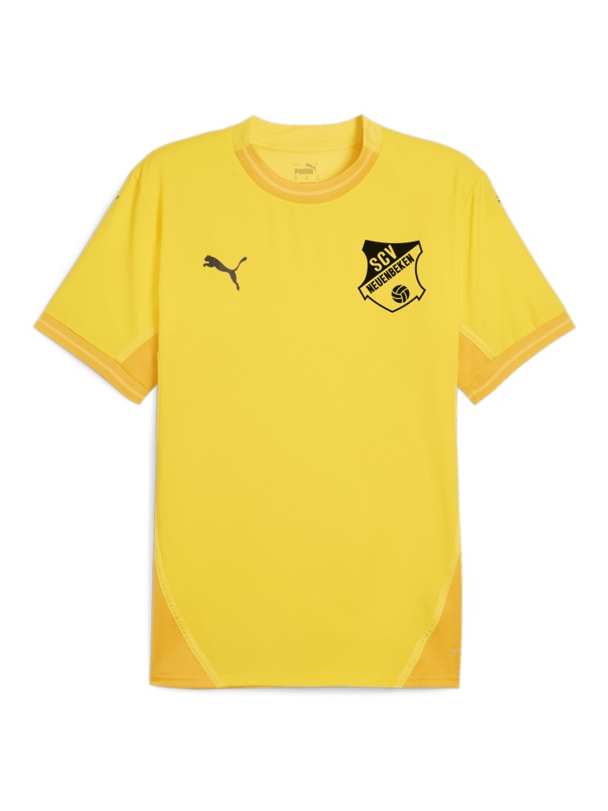 PUMA teamFINAL Trikot