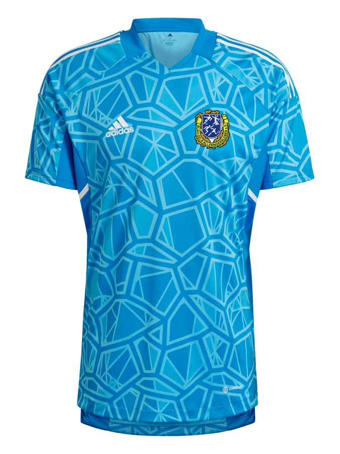 adidas Condivo 22 Torwarttrikot