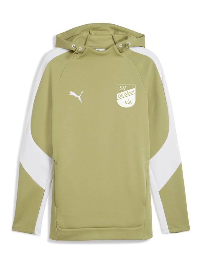 PUMA teamEVOSTRIPE Hoody