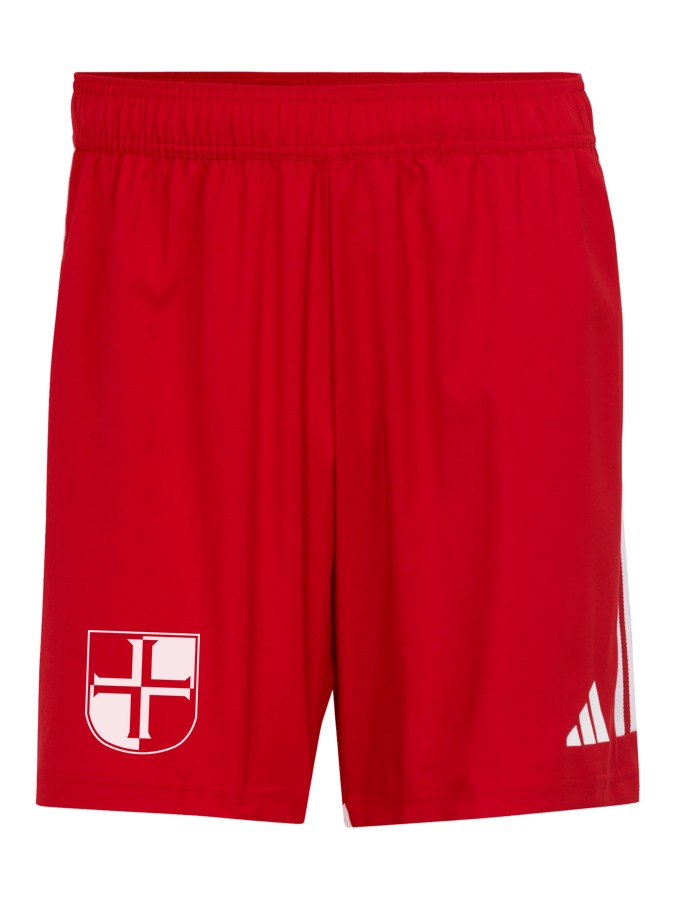 adidas Tiro 23 Competition Match Shorts