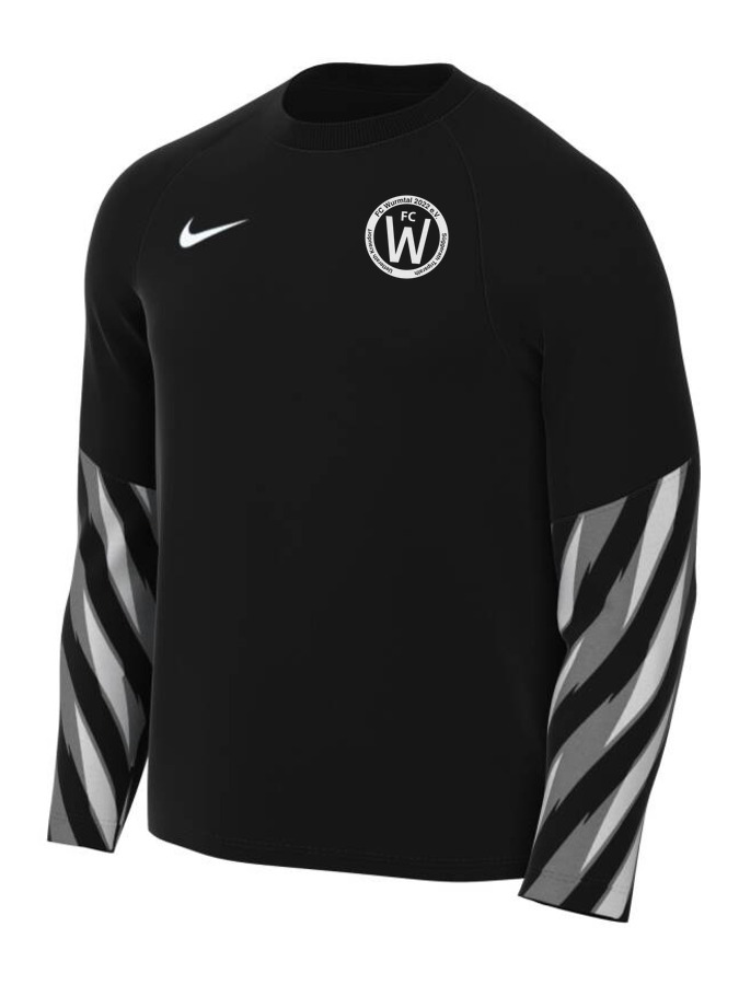 Nike Dri-FIT Park V Torwart Trikot Langarm